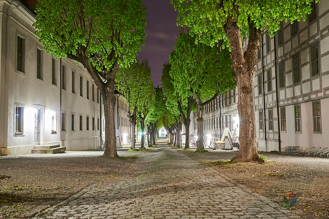 Lindenhof der Franckeschen Stiftungen im Frühling bei Nacht