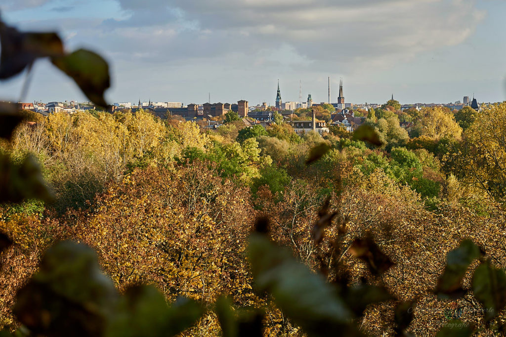 Blick vom Heinepark im Herbst über die Stadt